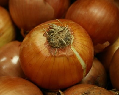 CPLP aposta no comércio de alimentos produzidos pelos agricultores familiares