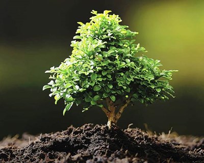 Crédito Agrícola: candidaturas ao Prémio Empreendedorismo e Inovação até 1 de julho de 2015