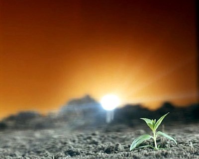 Crédito Agrícola e CAP firmam parceria para apoiar Agricultura nacional