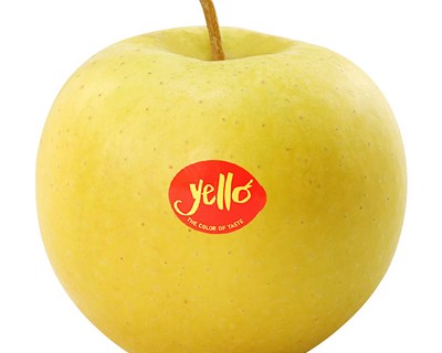 Crédito Agrícola presente na Fruit Logística 2017