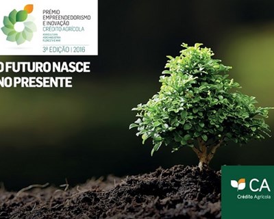 Crédito Agrícola vai premiar mais empresas em 2016