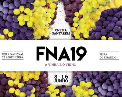 Crédito Agrícola volta a estar presente na Feira Nacional de Agricultura