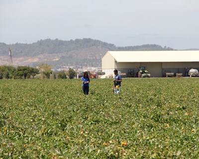 Cropscope: «um suporte para uma agricultura mais sustentável»