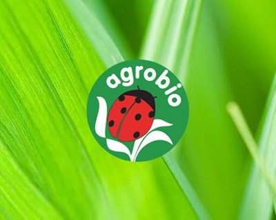 Curso e-learning sobre 