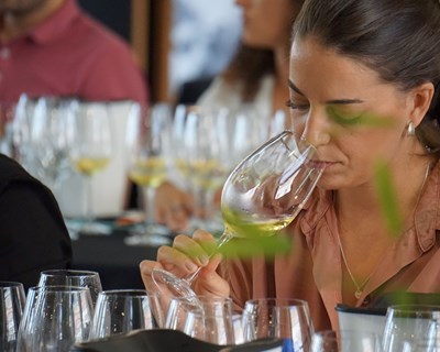 Da Prova Premium ao Curso de Vinho para Totós: experiências irresistíveis marcam a Alma do Vinho
