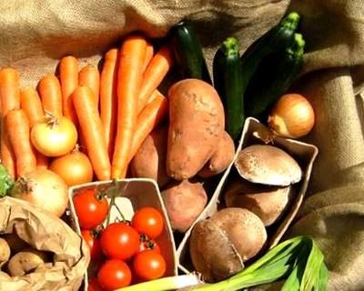 Défice comercial da agricultura diminuiu em 2014