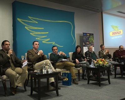 Dekalb investe em agricultura de precisão para produzir mais milho com menos recursos