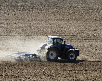 Desempenho da produtividade e sustentabilidade de explorações em 13 países