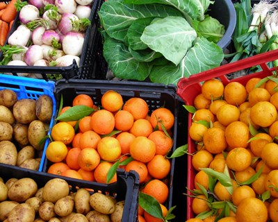 Despacho cria Grupo Específico de Acompanhamento da Intervenção Setorial das Frutas e Produtos Hortícolas (GEAFH)