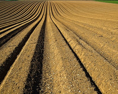 Detentores do Estatuto de Agricultura Familiar já podem juntar-se em agrupamentos de produtores multiprodutos