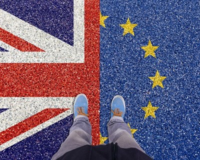 DGAV apresenta requisitos fitossanitários no âmbito do BREXIT
