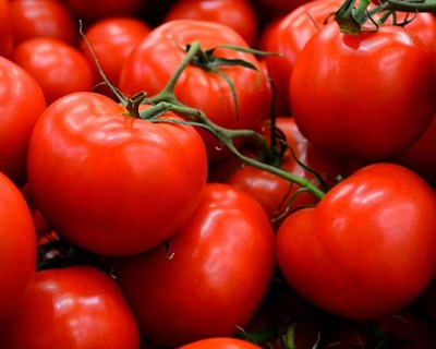 DGAV divulga regras de higiene na produção de frutas e hortícolas