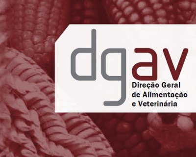 DGAV esclarece situação vivida em Santo Tirso