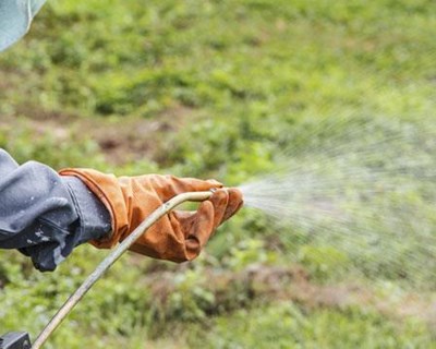 DGAV organiza cursos de inspeção para aplicação de produtos fitofarmacêuticos