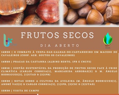Dia Aberto - Castanheiro e Aveleira