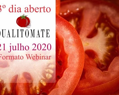 Dia de campo do projeto Qualitomate acontece em julho
