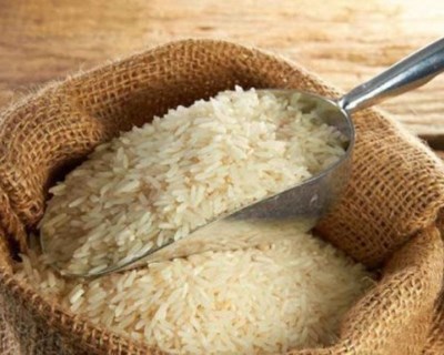 Dia do Agricultor em Alcácer do Sal dedicado ao Arroz Biológico