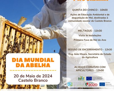Dia Mundial da Abelha 2024 será comemorado em Castelo Branco a 20 de maio