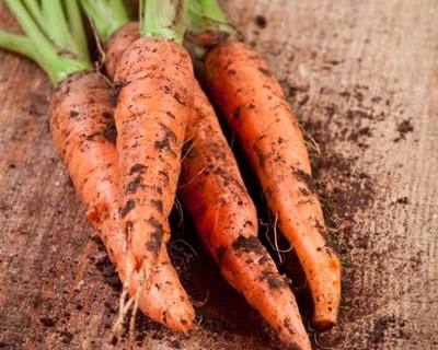 Dinamarca e o caminho para uma agricultura 100% sustentável