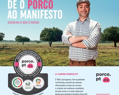 Doenças na Pecuária: novas realidades