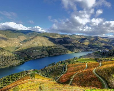 “Douro em Movimento, Aldeias com Vida” apresenta resultados da atividade na região