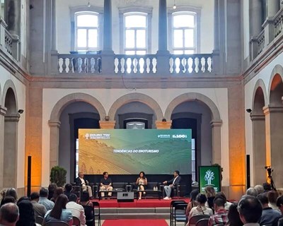 Douro TGV 2025 confirma o enoturismo como motor estratégico do Douro