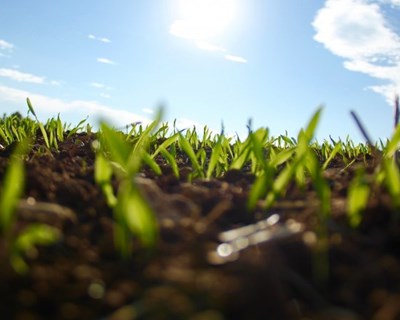 DRAP-C debate seguros agrícolas e segurança