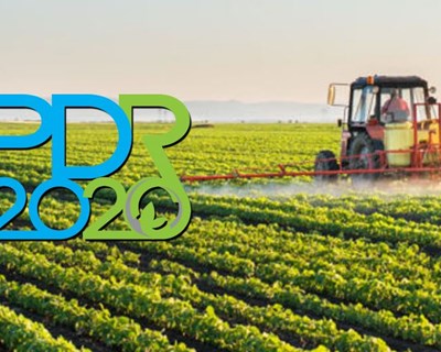 Dueceira considera desequilibrada a distribuição de apoios do PDR 2020