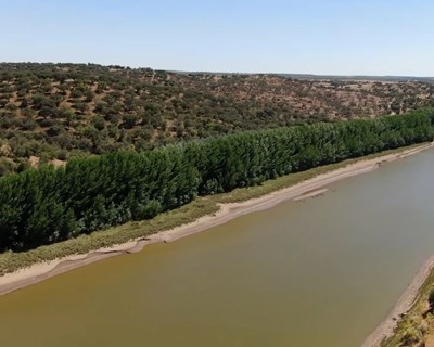 EDIA desenvolve projeto no âmbito dos corredores ecológicos