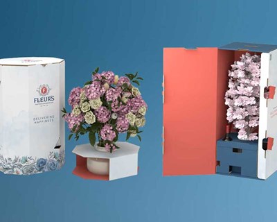eFlower: novo portefólio da Smurfit Kappa que aumenta a venda de plantas e flores
