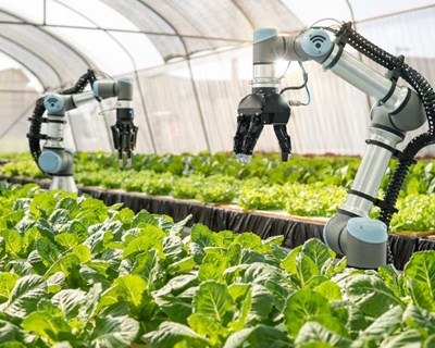 EIT Food procura startups no setor agroalimentar