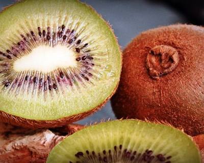 Em 2017 o Porto recebe o Simpósio Internacional do Kiwi