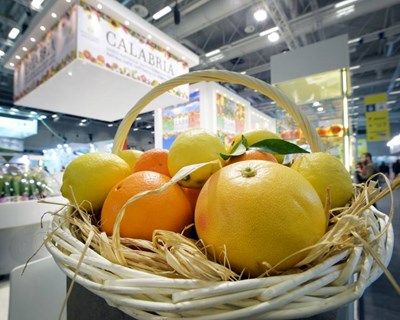 Em fevereiro de 2018 há Fruit Logistica em Berlim