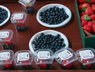 Encontro de Produtores da Capital dos Frutos Silvestres regressa em 2018