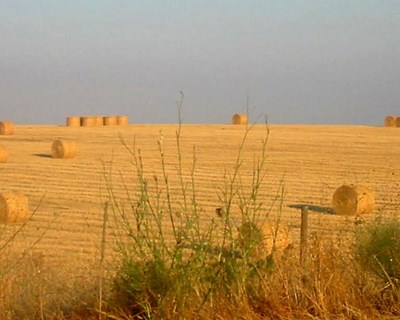 Encontro “Novas aplicações para a Agricultura”