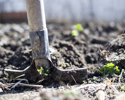 ENRD lança ficha sobre valorização de práticas de gestão agrícola e florestal sustentáveis através da PAC
