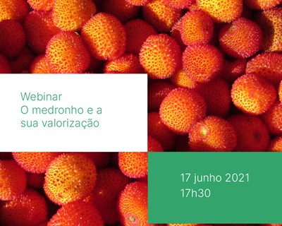 ESAC dinamiza webinares dedicados ao medronho