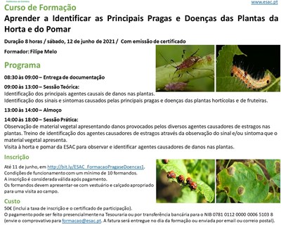 ESAC ministra formações sobre pragas e doenças das plantas