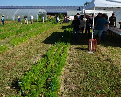 ESAC participou no Congresso Mundial de Agricultura Biológica