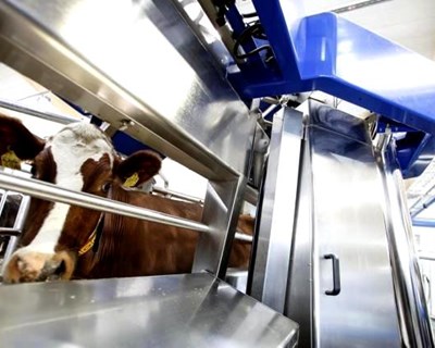 Escócia: a Robótica ao serviço da Agricultura