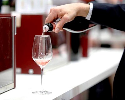 Escola Agrária de Santarém promove concurso de vinhos