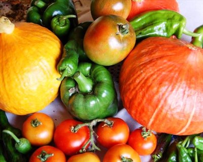 Espanha: hortofrutícolas com novo representante