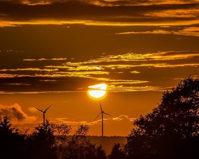 Especialistas apontam soluções para reduzir a fatura da eletricidade na Agricultura
