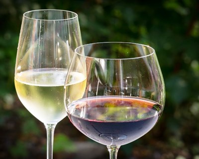 Está a chegar o Encontro com o Vinho e Sabores 2015