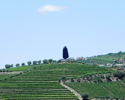 Estado reduz «custos de contexto» para os produtores do Douro