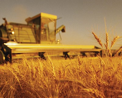 Estados Unidos querem clarificar estatuto do agricultor