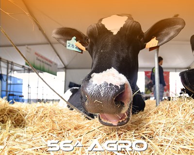 Estamos a oferecer bilhetes para a AGRO Braga
