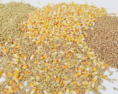Estratégias para o setor dos cereais