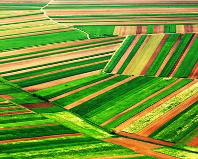 Estudo: agricultura de precisão e o futuro da agricultura na Europa