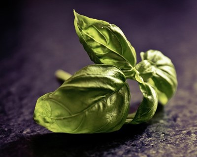 Estudo antecipa crise alimentar global